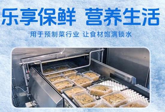 如何选择合适的青豆速冻设备？实用指南